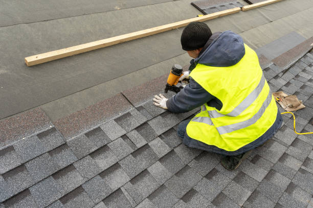 Best Roof Moss and Algae Removal  in Audubon, IA