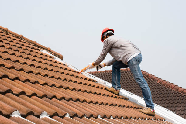 Best Gutter Installation and Repair  in Audubon, IA
