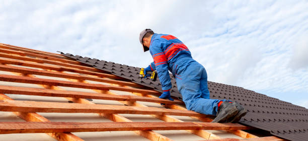 Best Roof Maintenance and Cleaning  in Audubon, IA
